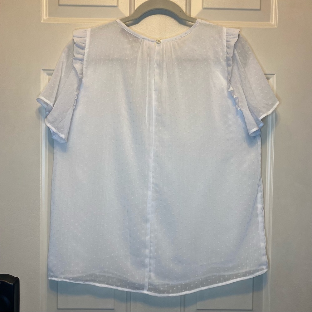 Loft Elegant White Ruffle Sleeve Sheer Dotted Swiss Top w/ Camisole Sz Medium - Picture 2 of 11